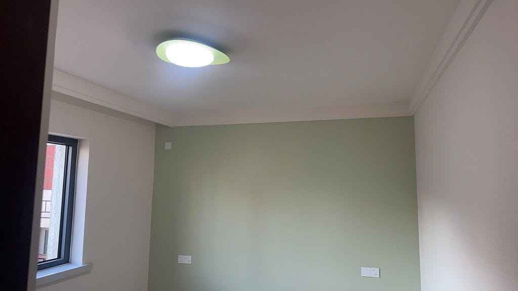 Customer photo review of Resin Disc Ceiling Light in Green or Beige, 36 cm or 46 cm