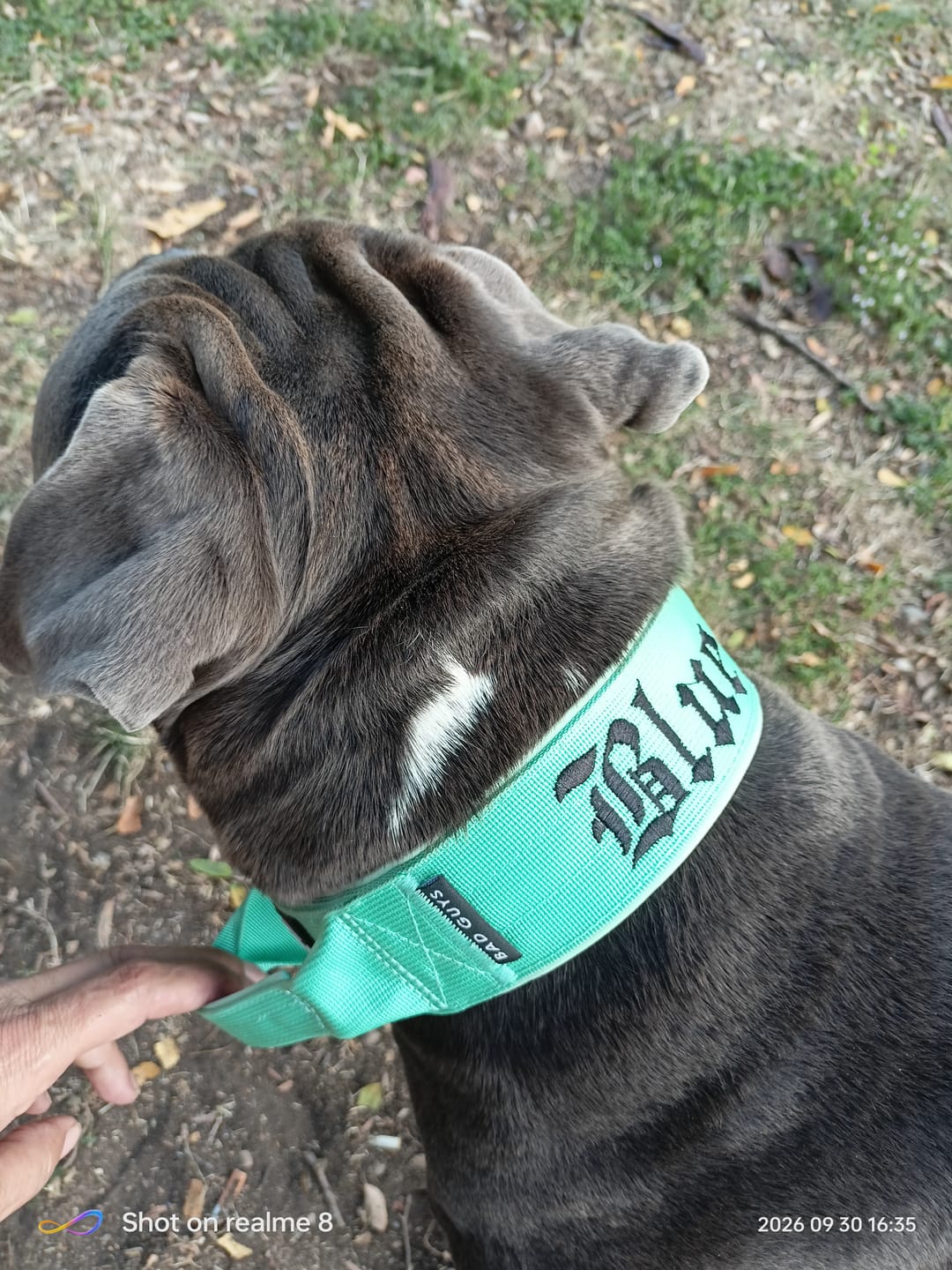 Customer photo review of Collare Crime 5cm