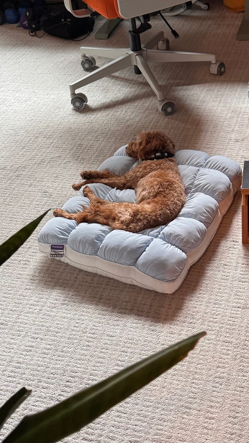 Customer photo review of Puff Pillow