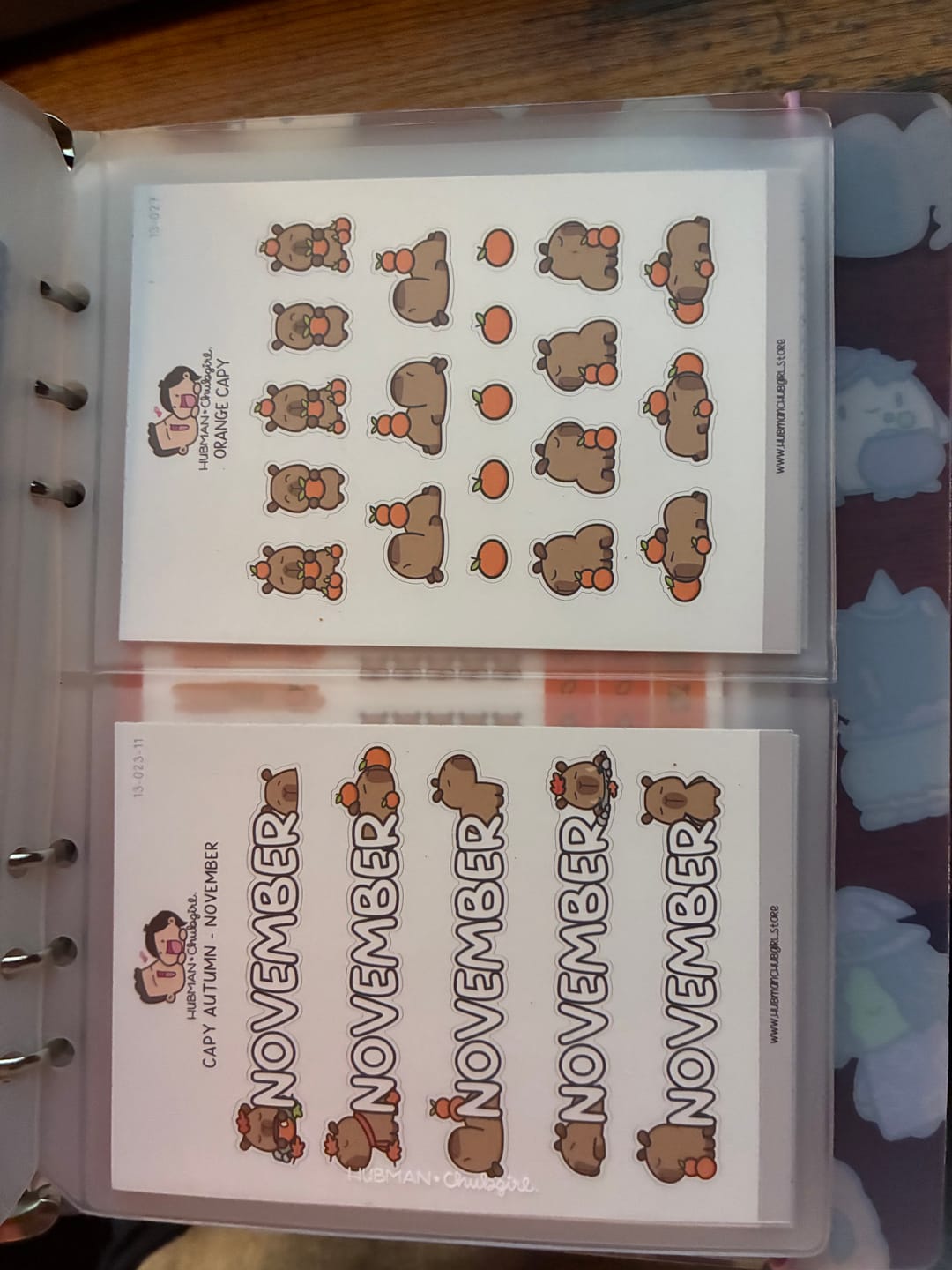 Customer photo review of Autumn Capy Box Set