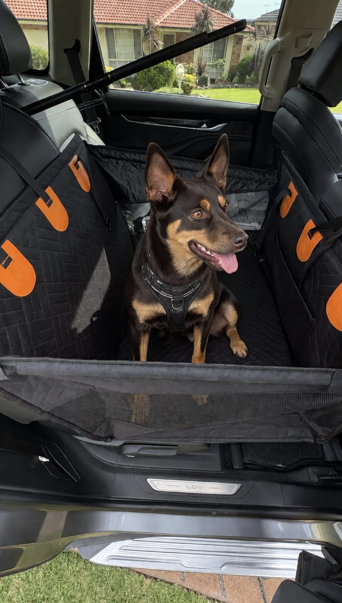 Customer photo review of Marlo&Co™ Single Travel Seat