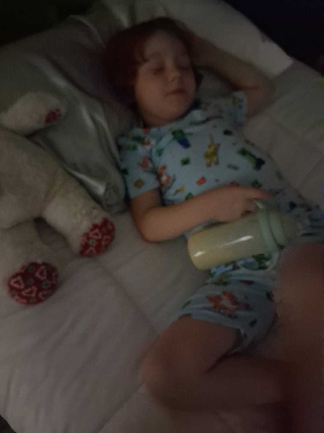 Customer photo review of Minecraft: Chicken Jockey Bamboo Kids Pajama Short Set