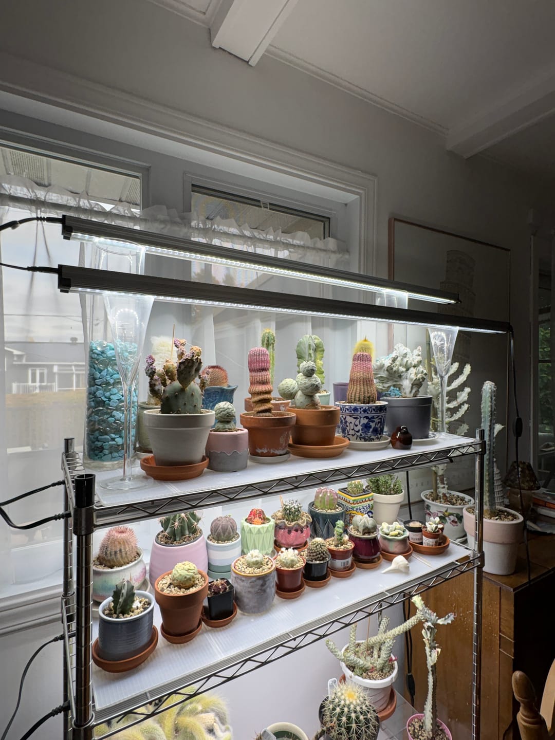 Customer photo review of SunBlaster LED Strip Light High Output 6400K