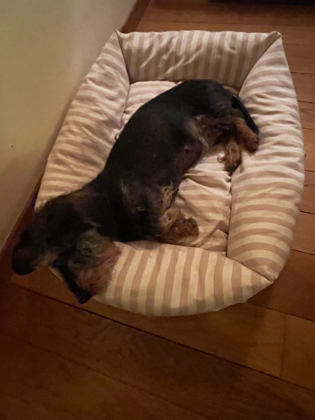 Customer photo review of Divanetto Cotone Righe Larghe Beige