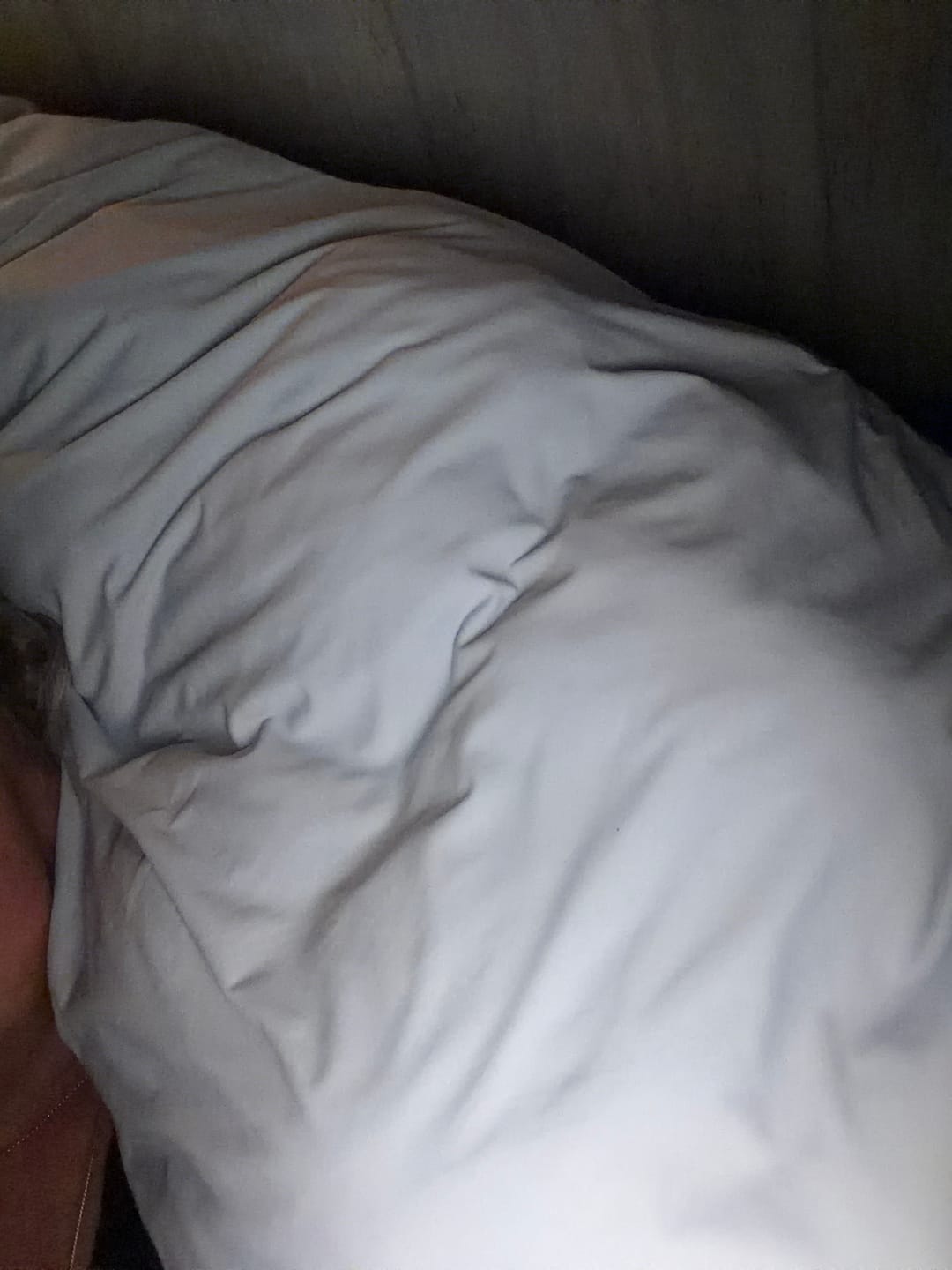 Customer photo review of Cooling Pillowcases (2-Pack)