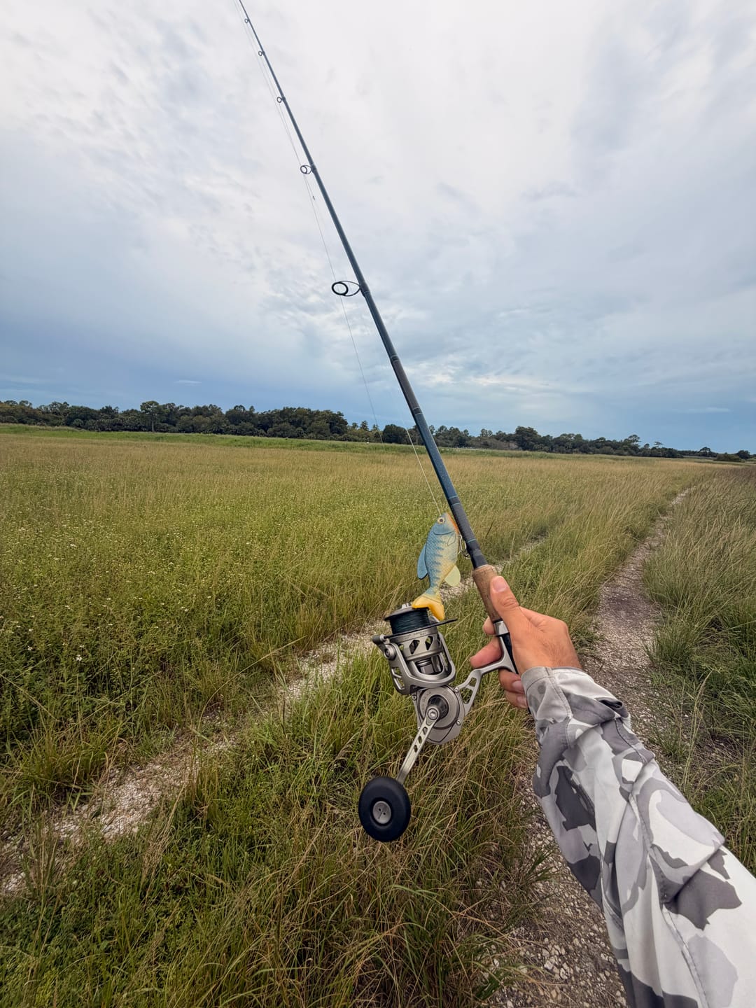 Customer photo review of LT Willy 4in