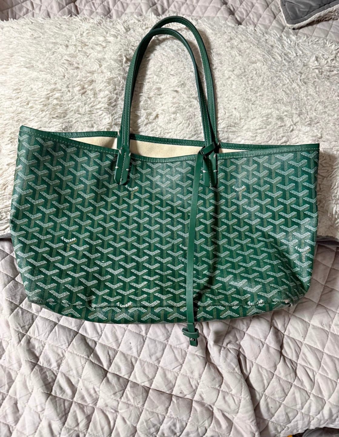 Customer photo review of Goyard Meadow Green Goyardine Canvas and Chevroches Calfskin Saint Louis GM Tote, 2026