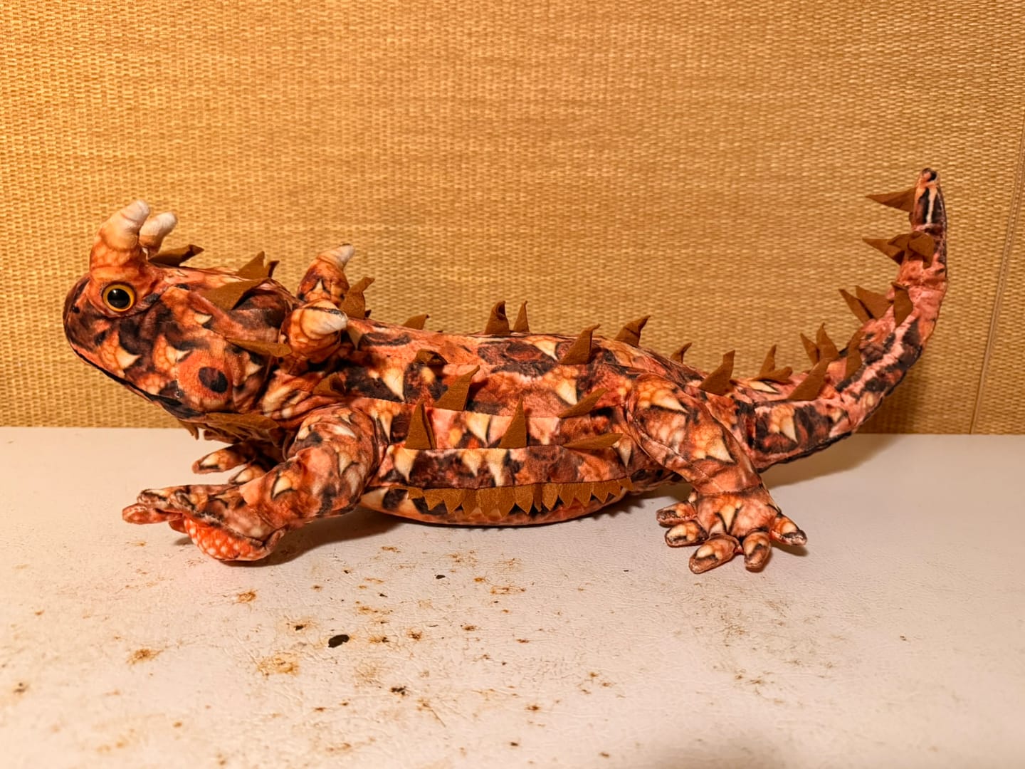 Customer photo review of Thorny Devil Lizard Soft Stuffed Plush Toy
