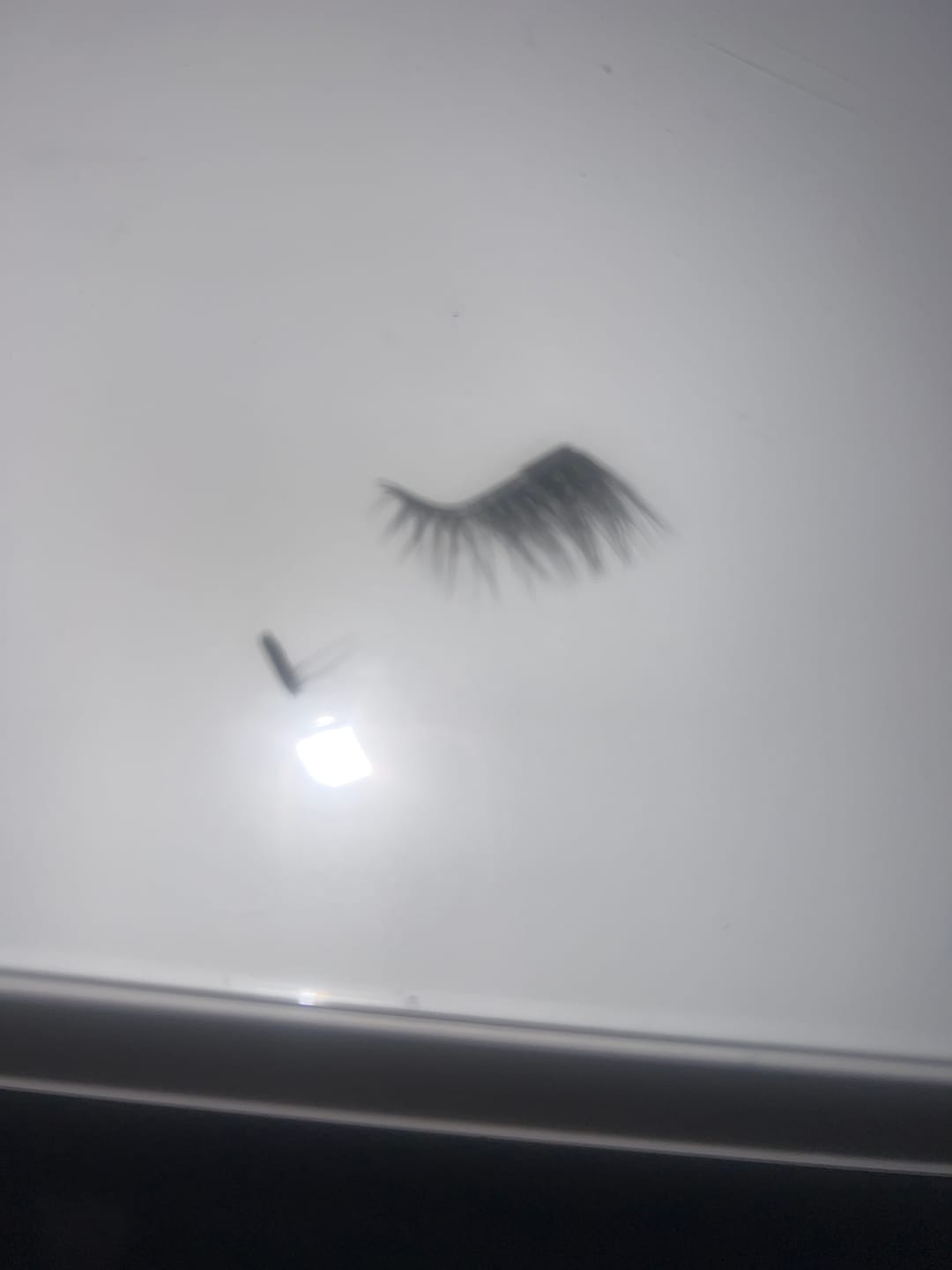 Customer photo review of CILS MAGNÉTIQUE