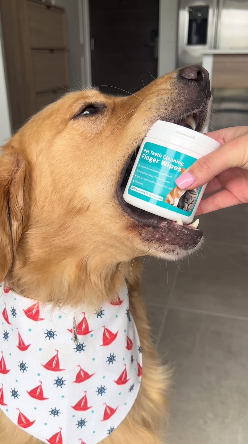 Customer photo review of Toallitas dentales para mascotas