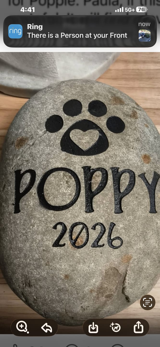 Customer photo review of Dog headstones Grave Marker Custom Engraved Pet Memorial River Rock Stone Heart Paw Print