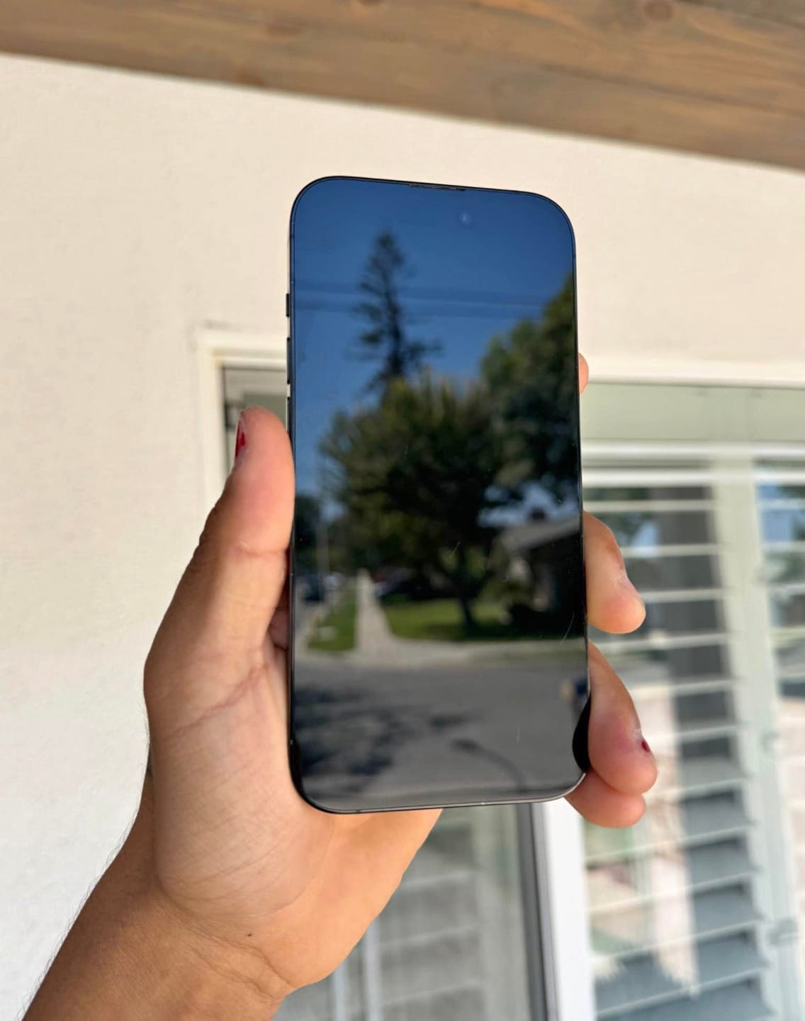 Customer photo review of iPhone 14 Pro Max