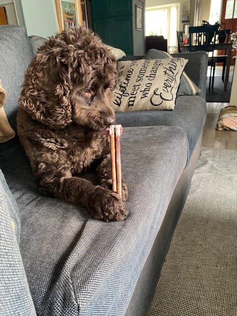 Customer photo review of Small Bully Stick Ring