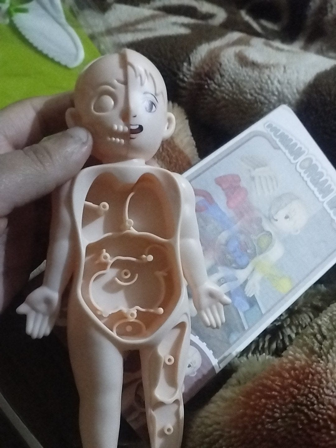 Customer photo review of Anatomiemodell Lernspielzeug | Menschlicher Körper zum Auseinandernehmen STEM Kinder