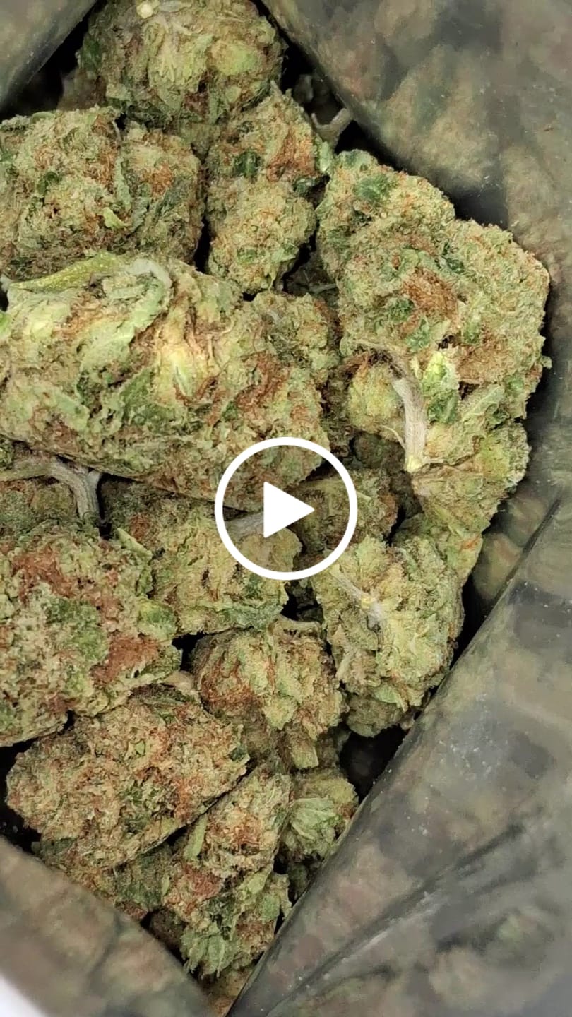 Customer video review of Bulk THCA Smalls