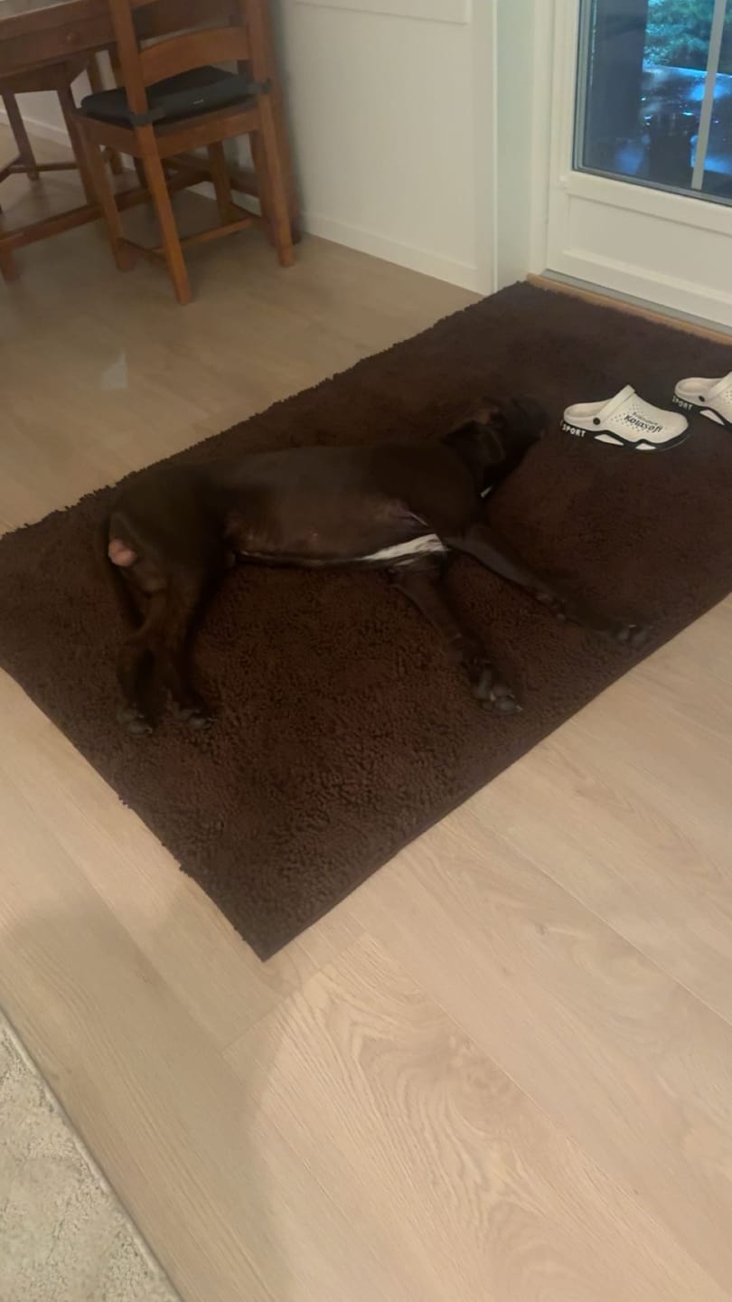 Customer photo review of Tassify – Mattan som håller ditt hem rent