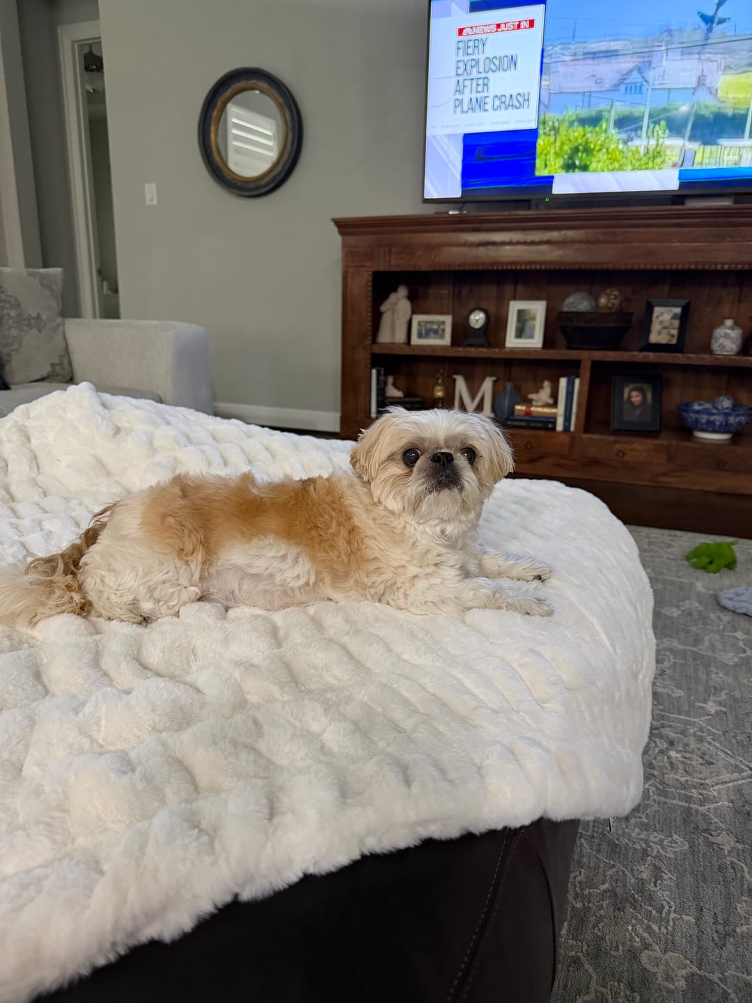 Customer photo review of Hugs Cream Blanket