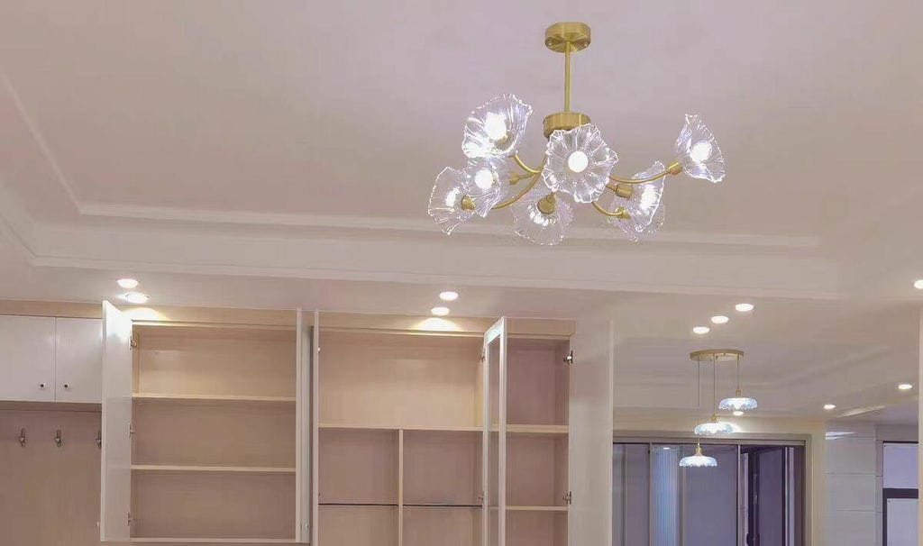 Customer photo review of Brass Chandelier, Clear Glass Petal Shades, 3 to 8 Heads