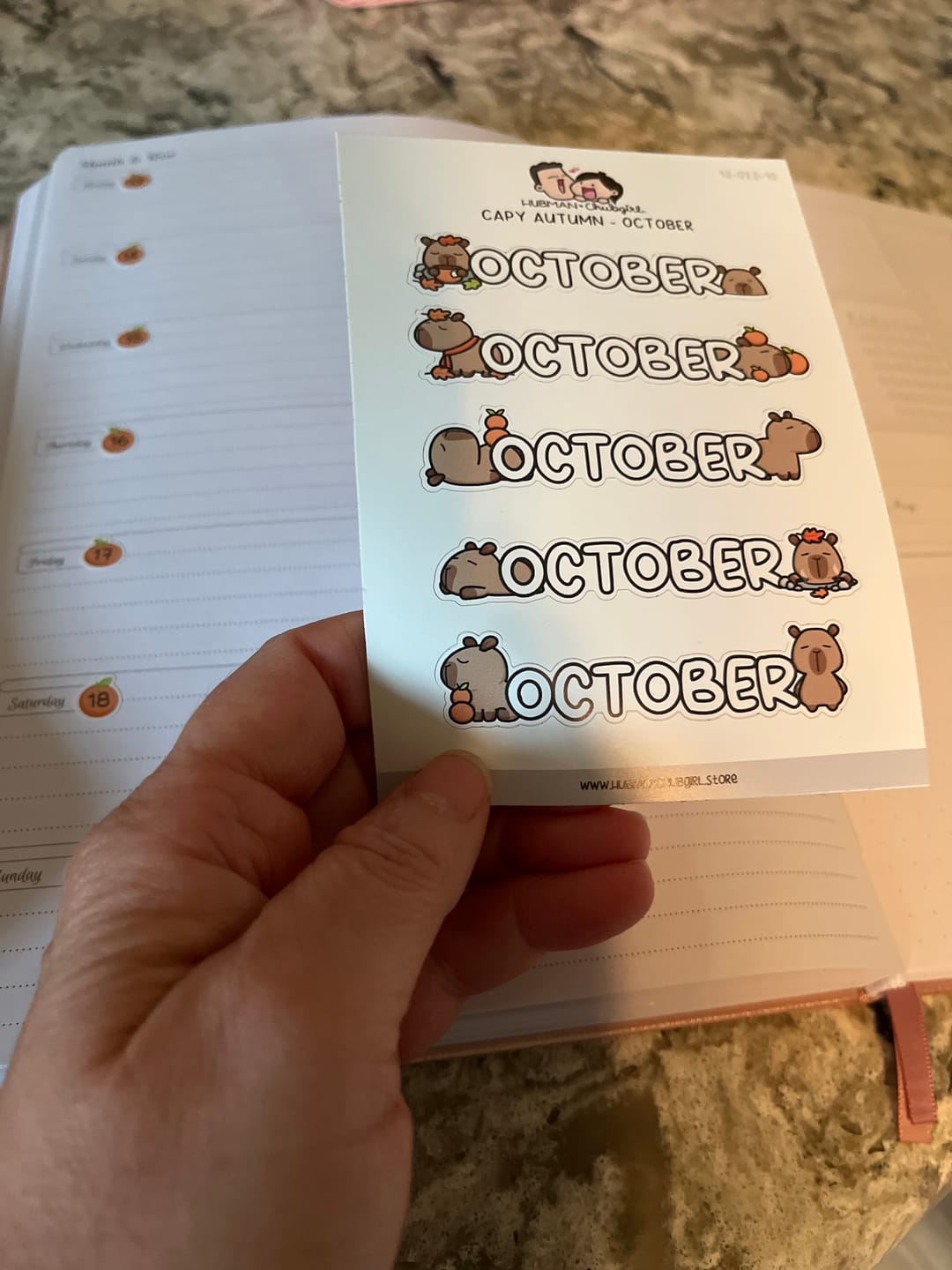Customer photo review of Capy Autumn - Months 2 Planner Stickers