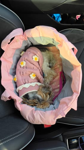 Customer photo review of Pillow Puff Bag