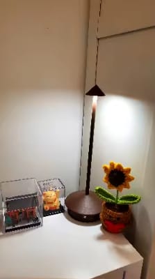 Customer photo review of Aurea | Rechargeable LED Table Lamp