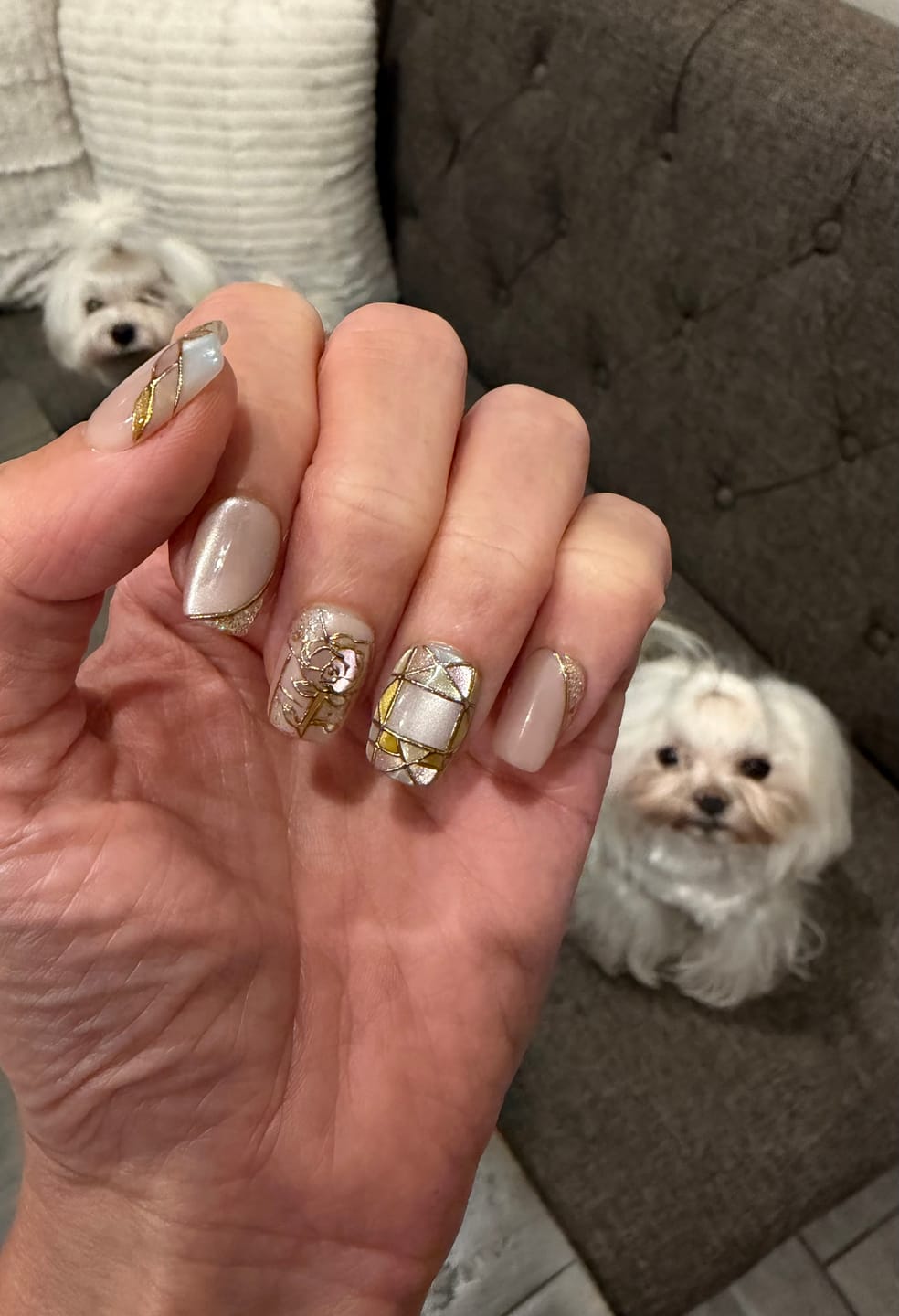 Customer photo review of Venetian Glass