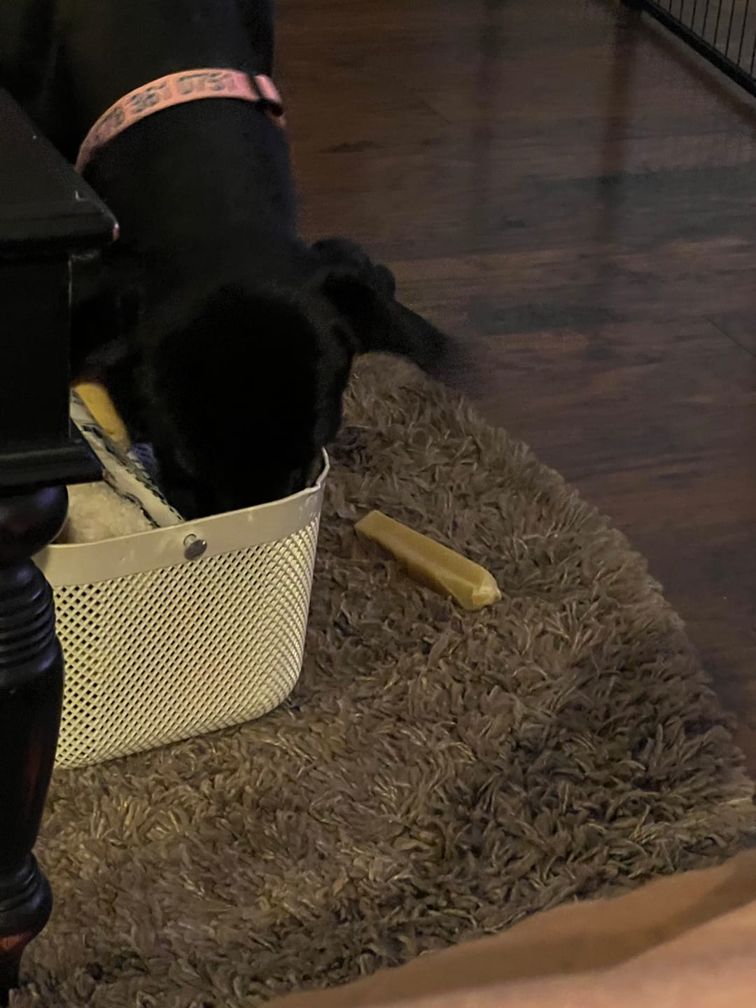 Customer photo review of Himalayan Yak Chew Flavor Pack