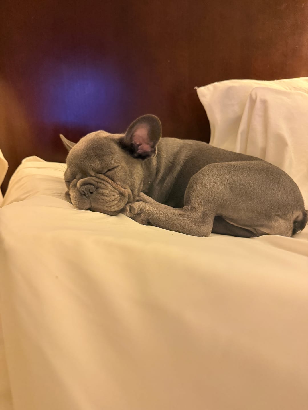 Customer photo review of Cooling Pillowcases (2-Pack)