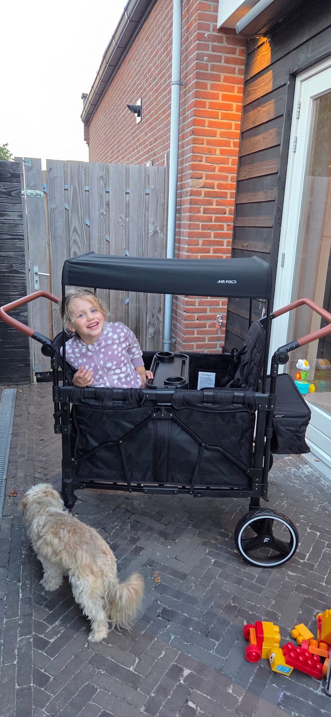 Customer photo review of P-Series Luxe 4-zits kinderkar