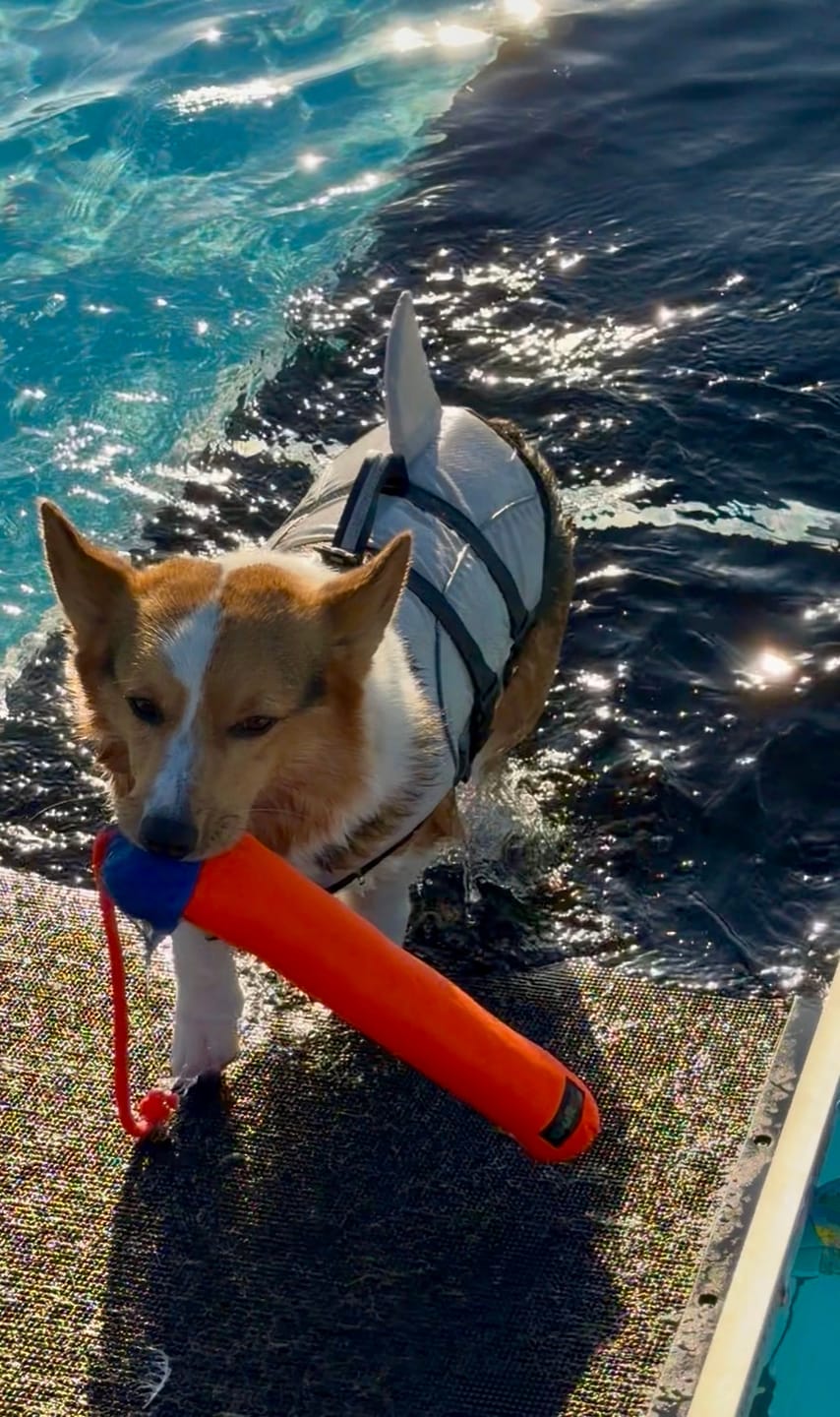 Customer photo review of Fry Guys Floats Kevin