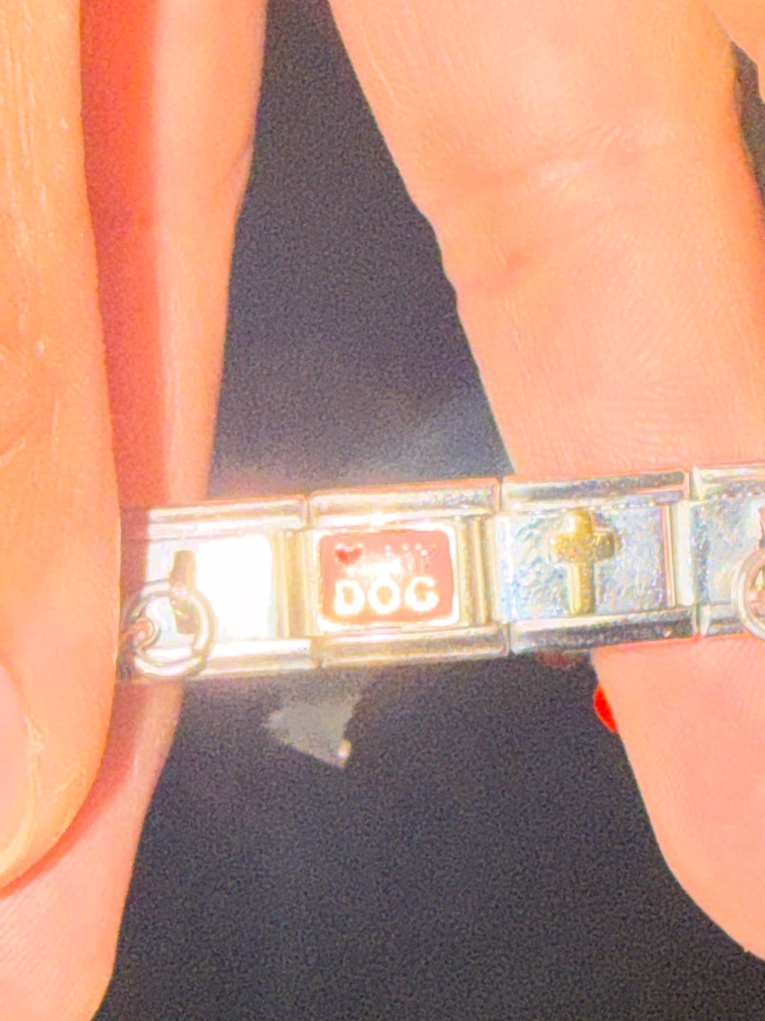 Customer photo review of Charm Amo a mi perro