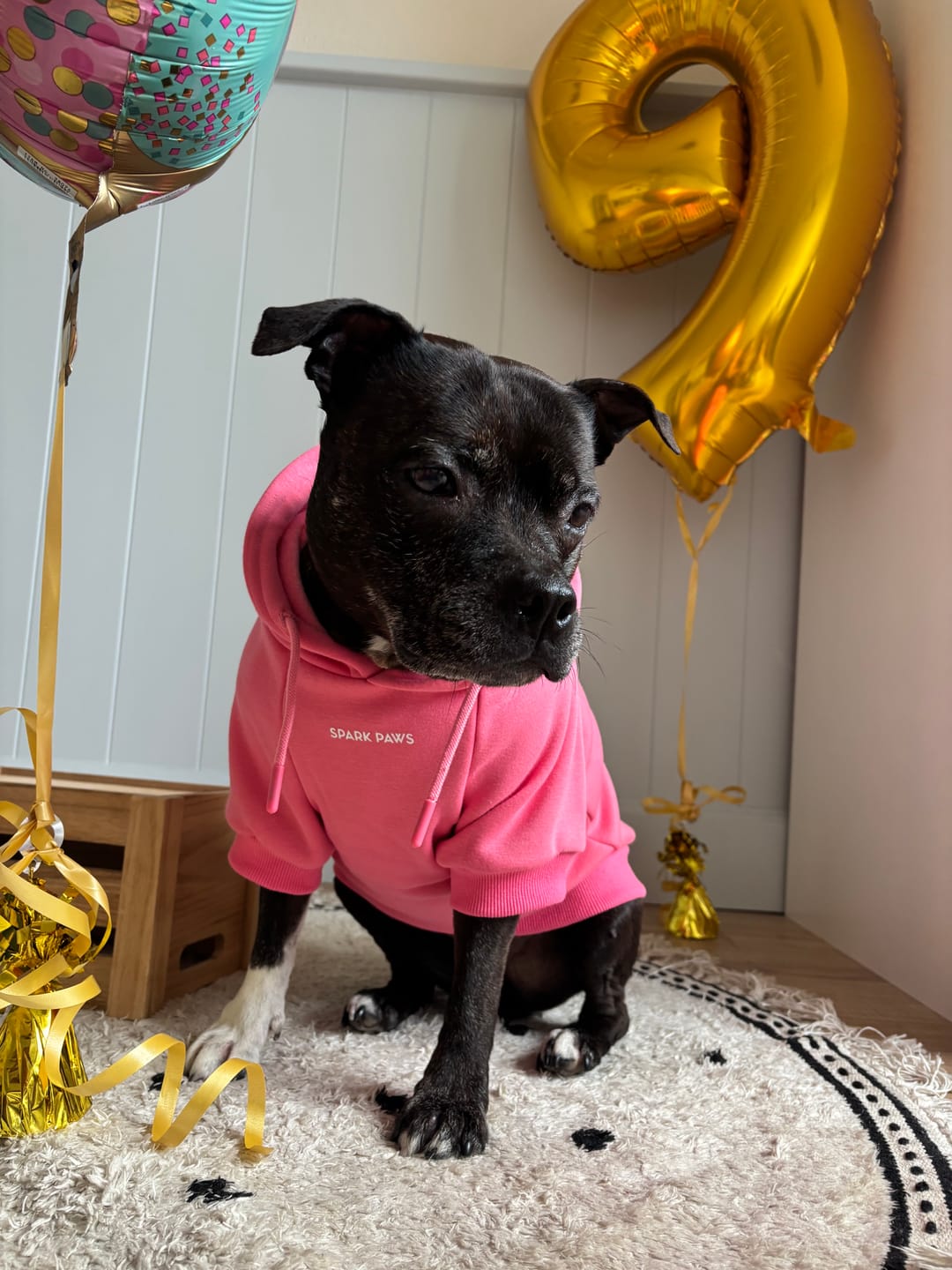 Customer photo review of Essential Dog Hoodie - Blush Pink