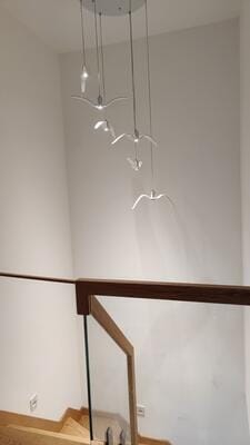 Customer photo review of Resin Bird Pendant Light, White or Black, 32 to 40 cm