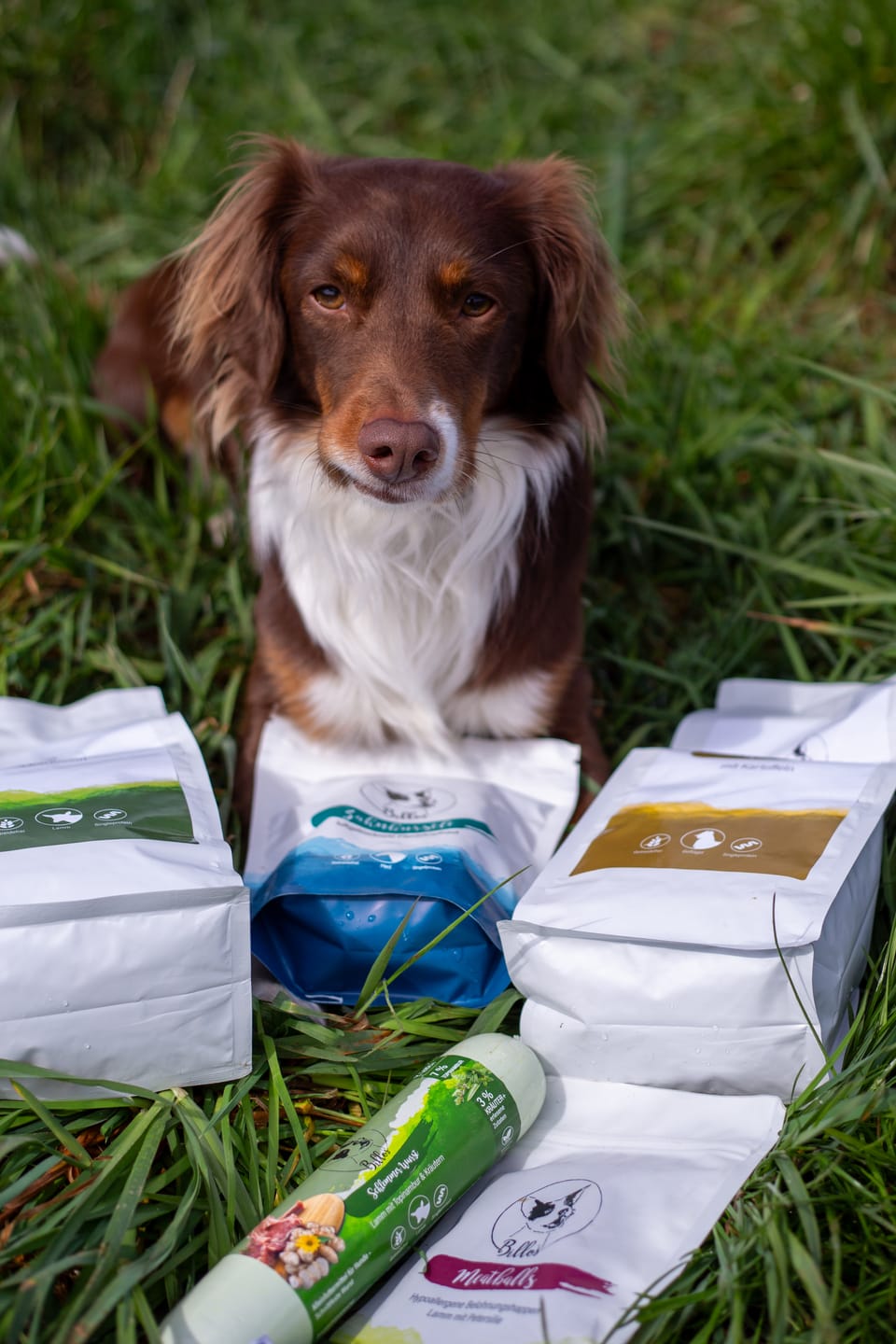 Customer photo review of Lamm mit Kartoffeln