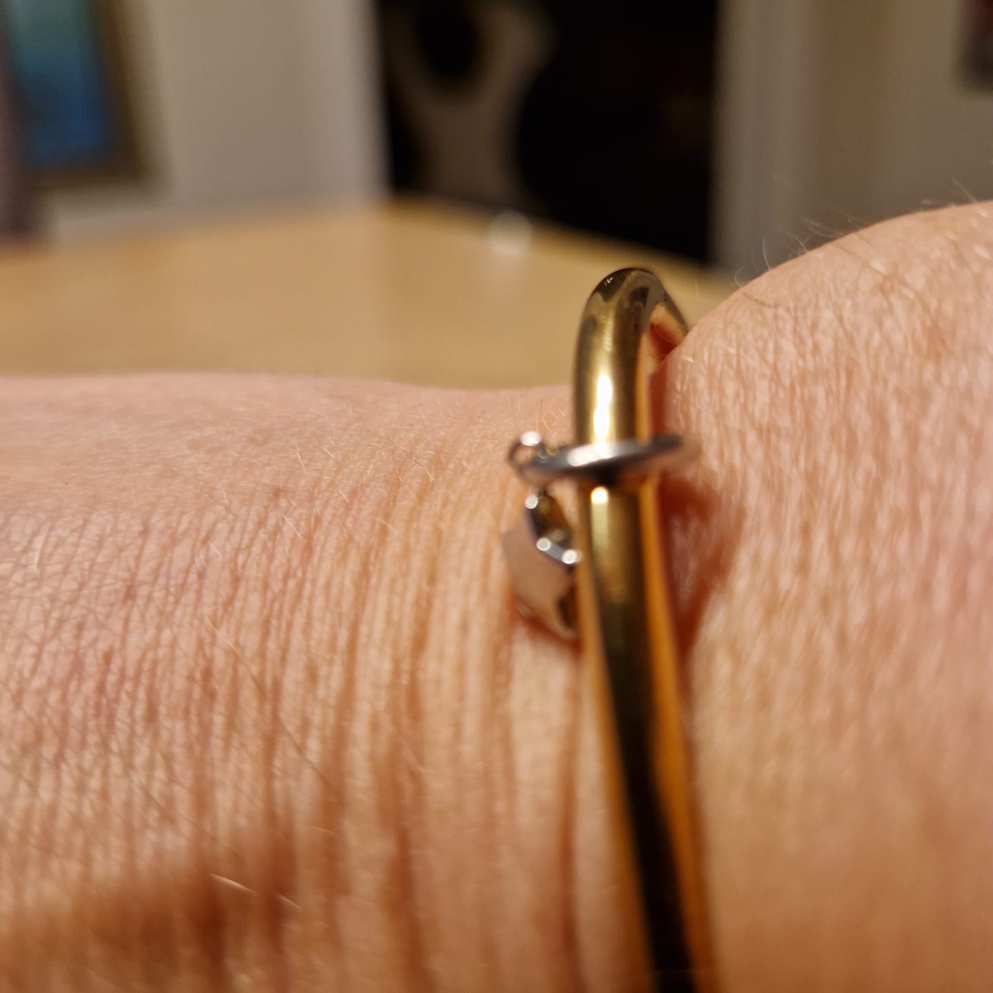 Customer photo review of Stella - Star Charm Stainless Steel