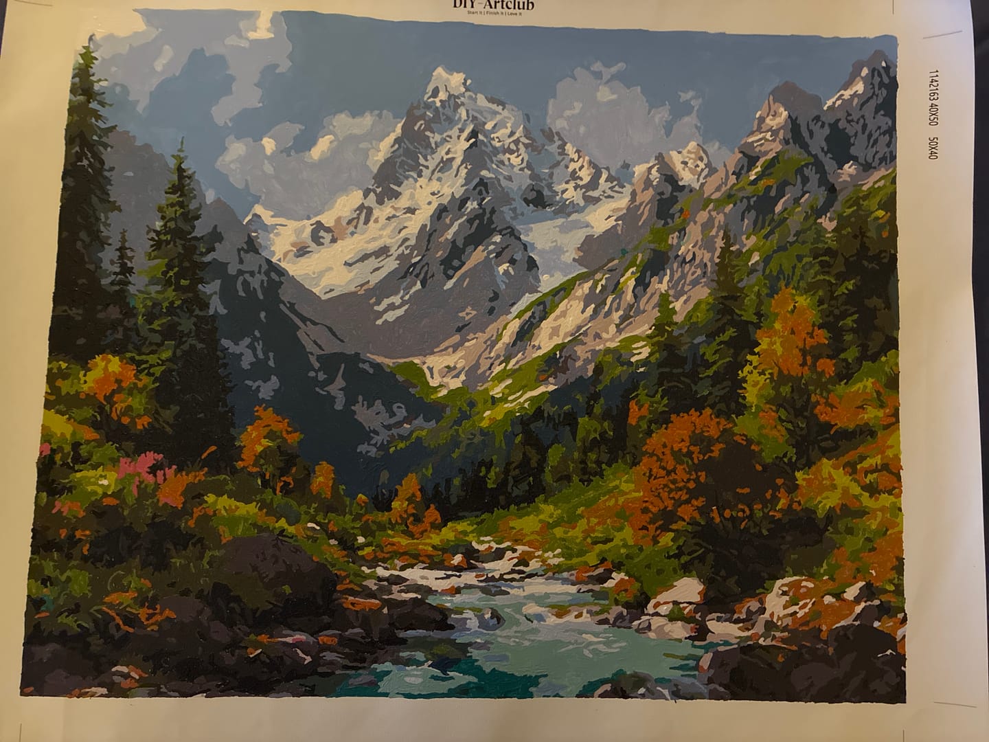 Customer photo review of Source of nature | Paint by Number