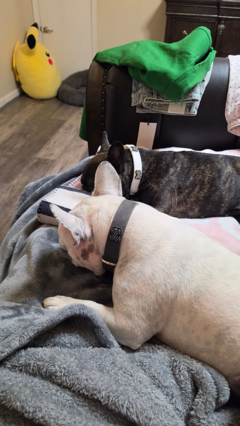 Customer photo review of SWAROVSKI BLACK-BLACK BONES