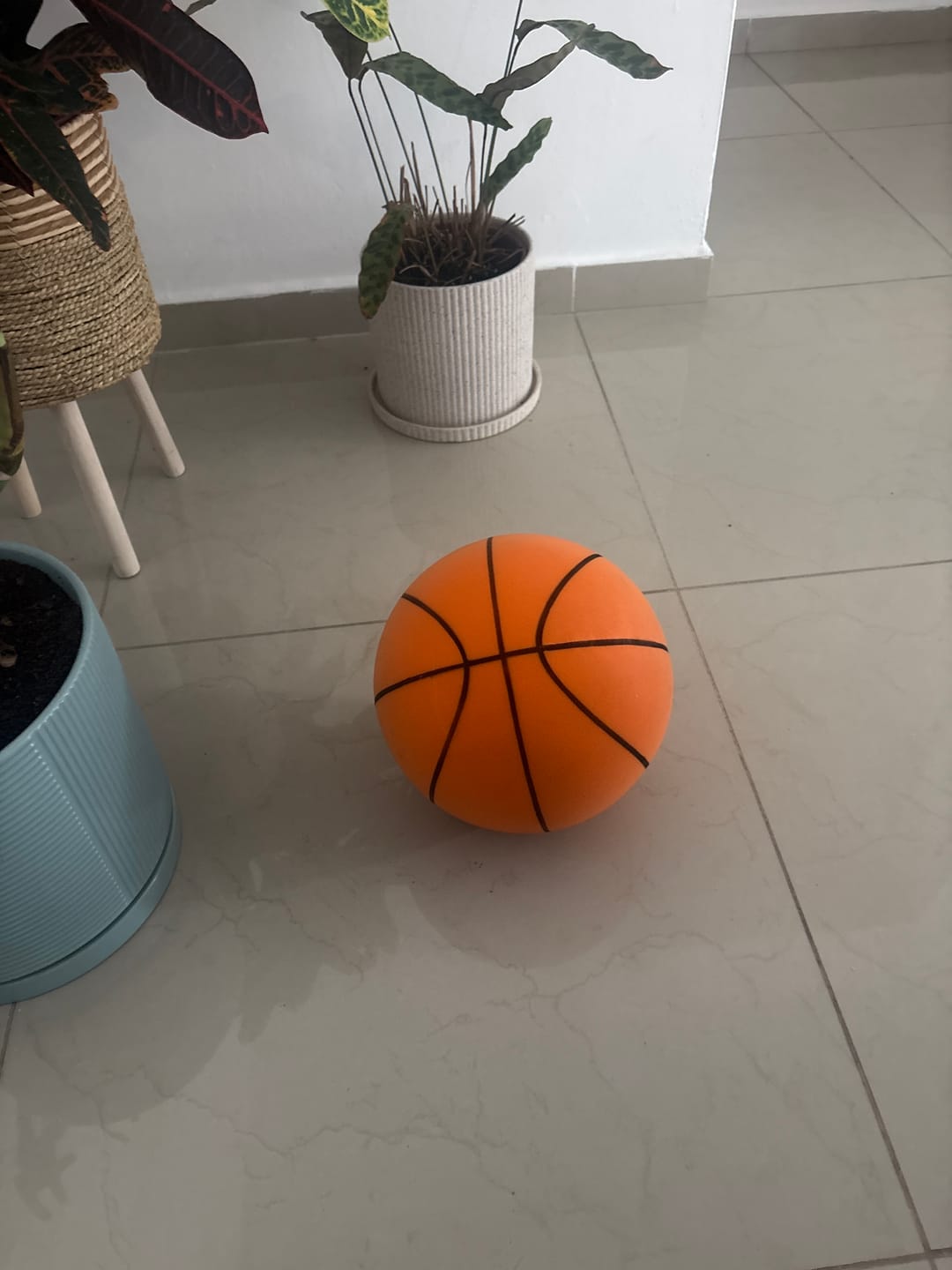 Customer photo review of הכדורסל השקט של Komoro