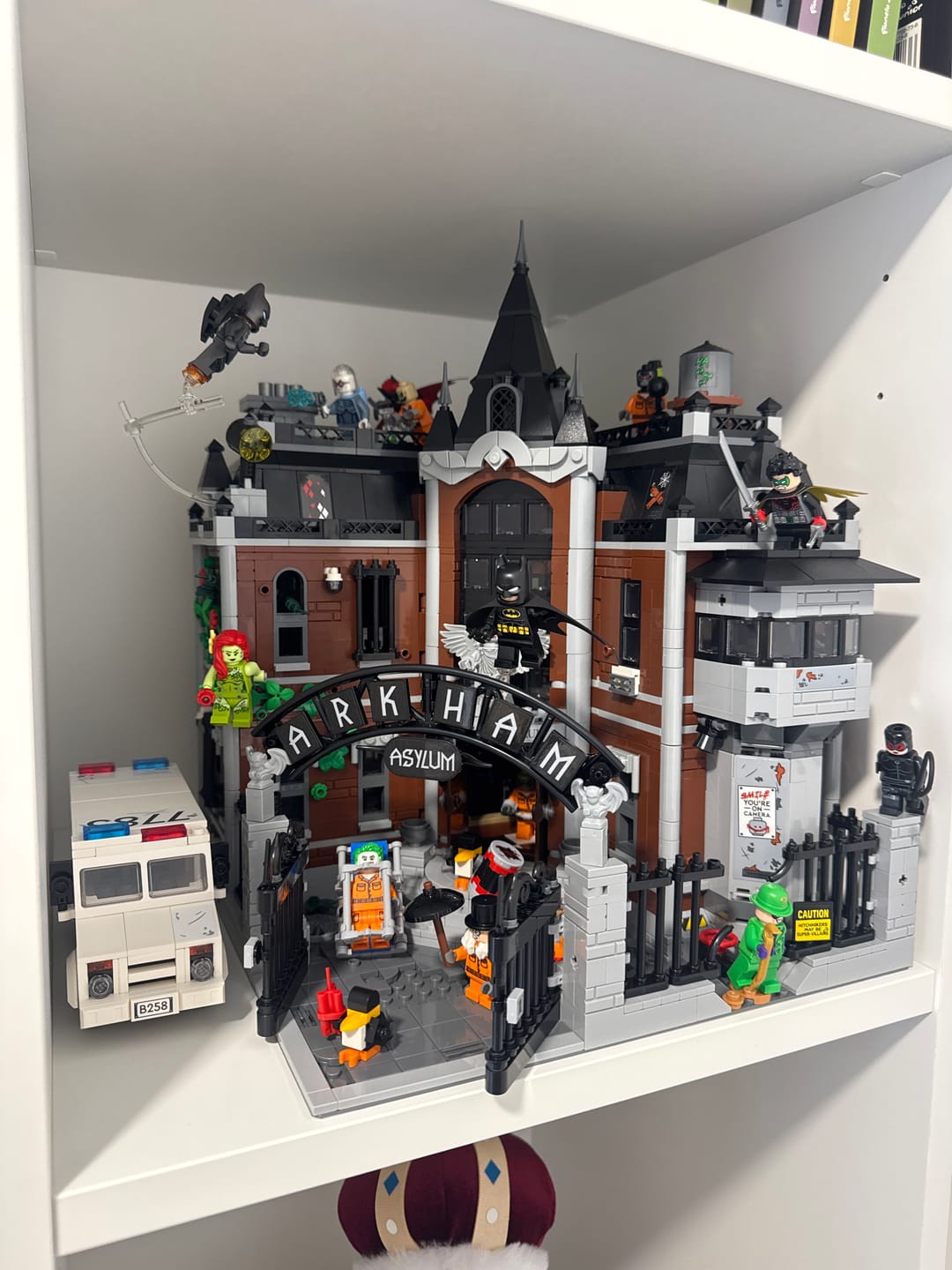 Customer photo review of ARKHAM ASYLUM™