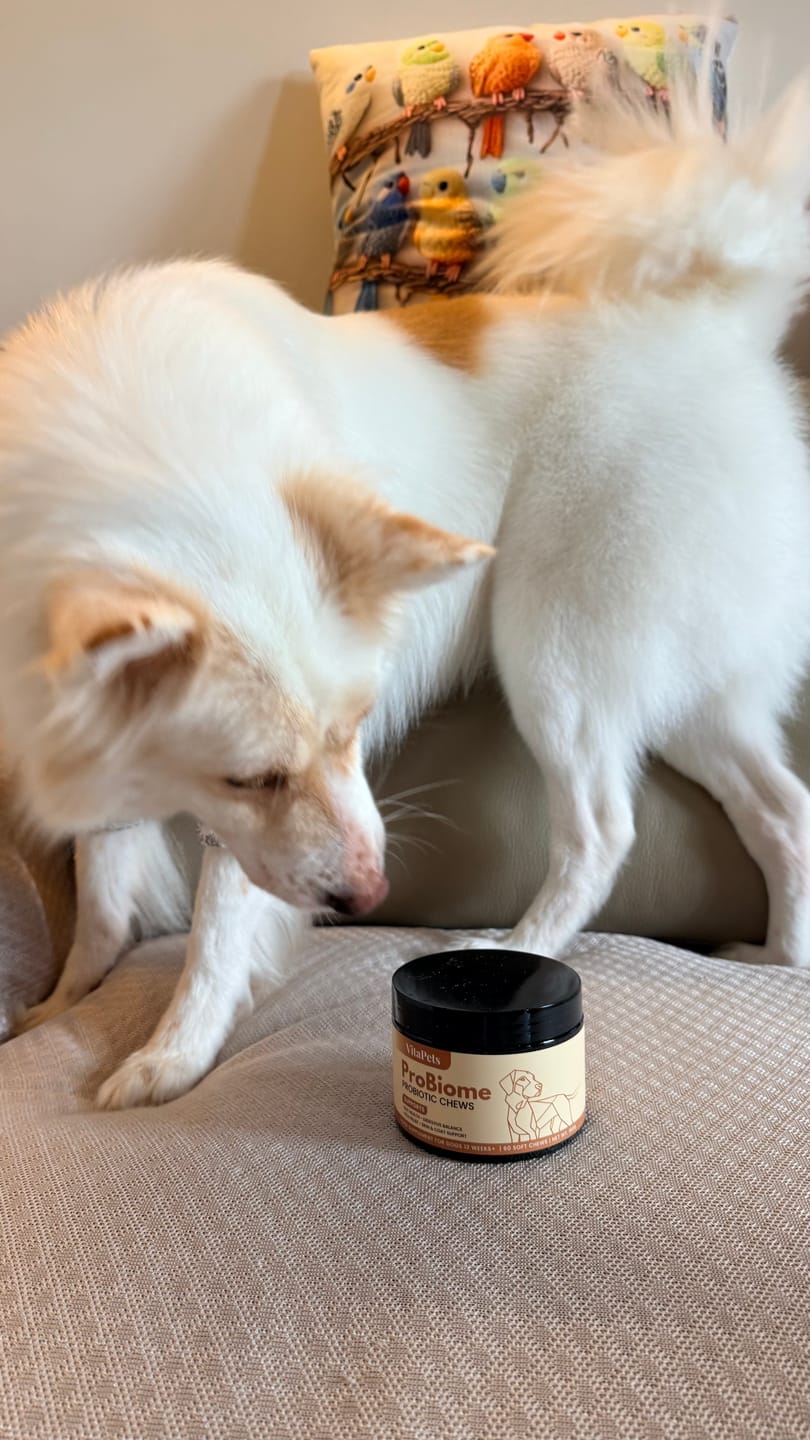 Customer photo review of ProBiome™狗狗益生菌軟粒