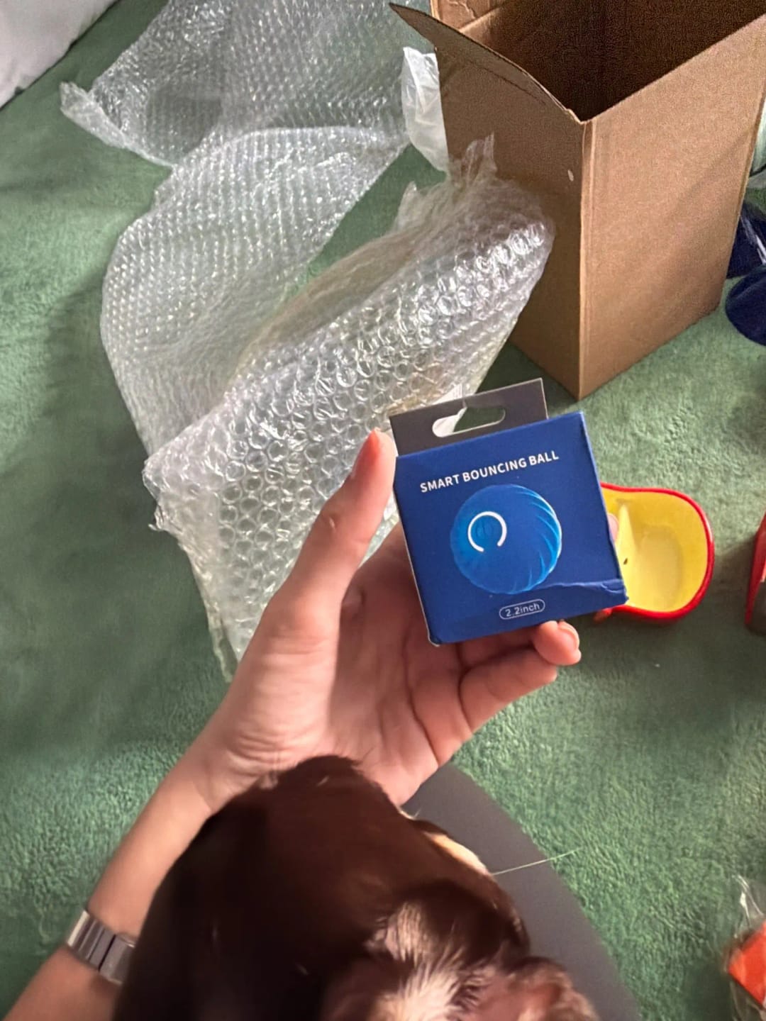 Customer photo review of Pelota Interactiva para Perros y Gatos – Movimiento Automático + Carga USB-C