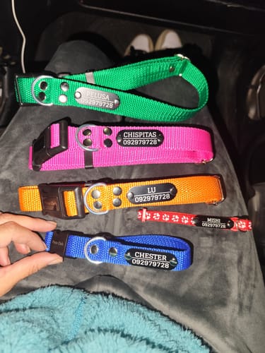 Customer photo review of Collar Remachado Básico (Perro)