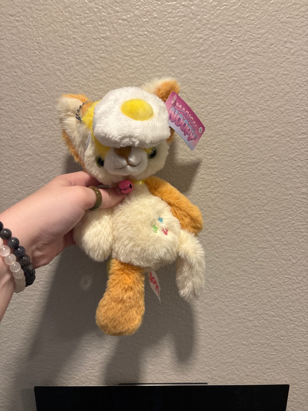 Customer photo review of Magical Noopy2 Plush - PARKER