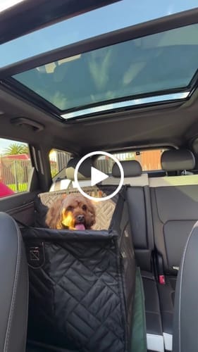 Customer photo review of Marlo&Co™ Single Seat Adventure Bundle