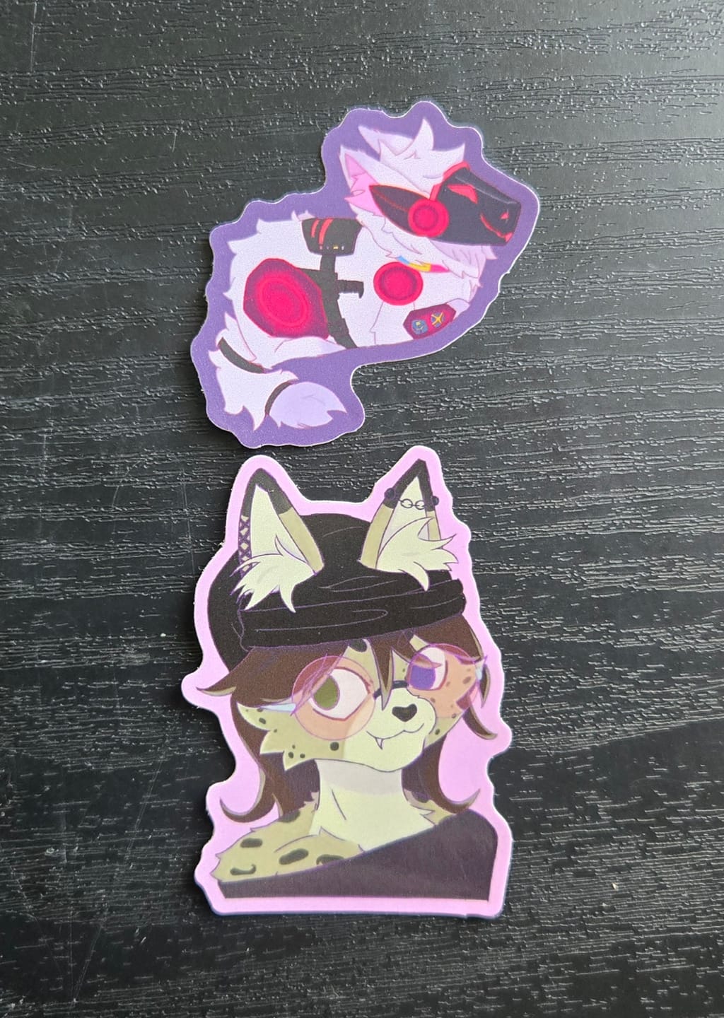 Customer photo review of Cut to Shape Stickers