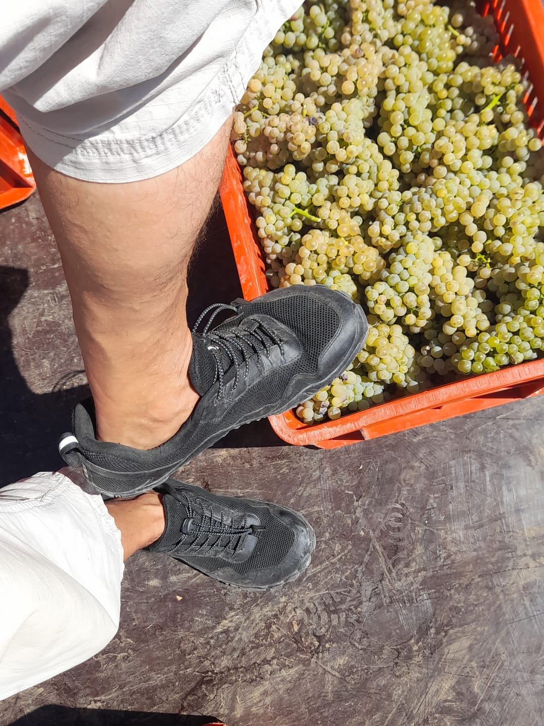 Customer photo review of Trek-Barfussschuh