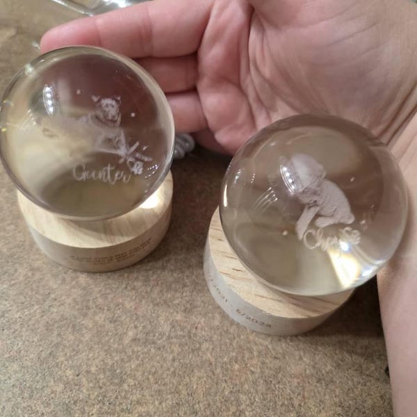 Customer photo review of Personalized Pet Portrait Crystal Ball Night Light