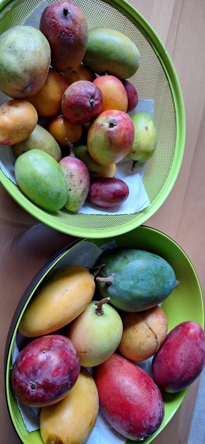 Customer photo review of Mango Mix von Antonio 3kg