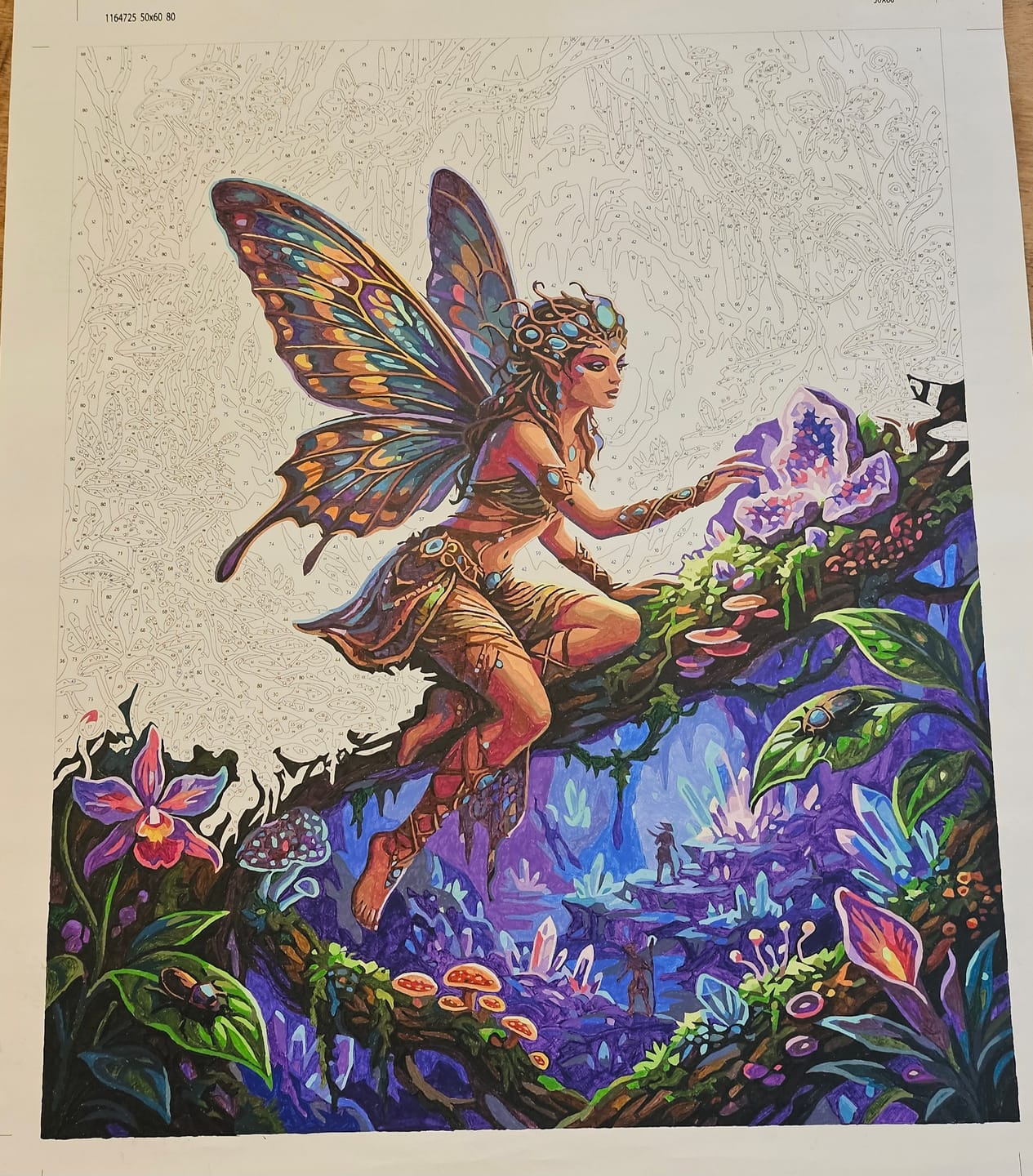 Customer photo review of Magical Fairy Forest (80 Color Paint by Numbers)