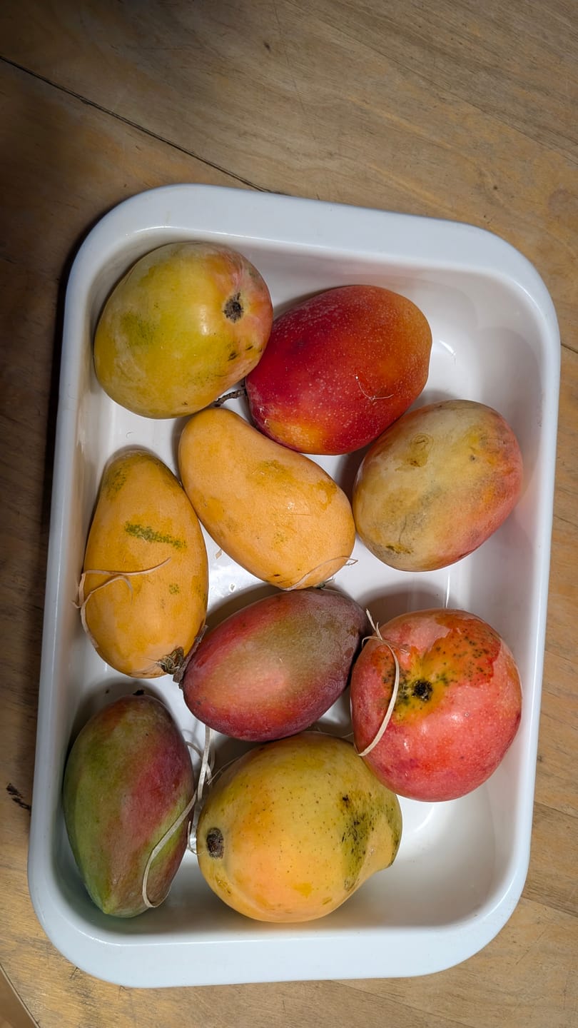 Customer photo review of Mango-Raritäten Mix von Julian